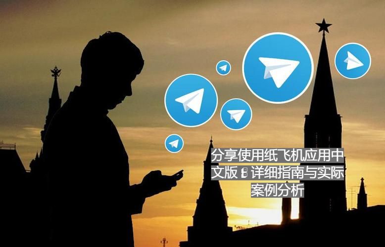 分享使用纸飞机应用中文版：详细指南与实际案例分析