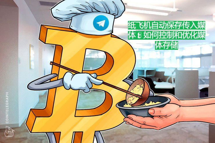 纸飞机自动保存传入媒体：如何控制和优化媒体存储